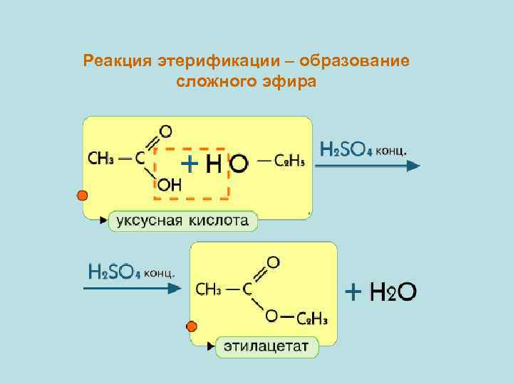 Реакция этерификации – образование сложного эфира 