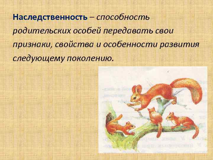Наследственность – способность родительских особей передавать свои признаки, свойства и особенности развития следующему поколению.