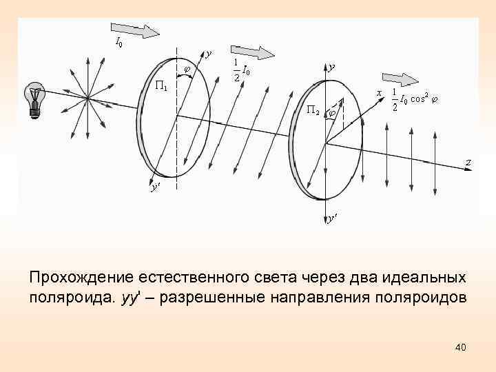 Прохождение естественного света через два идеальных поляроида. yy' – разрешенные направления поляроидов 40 