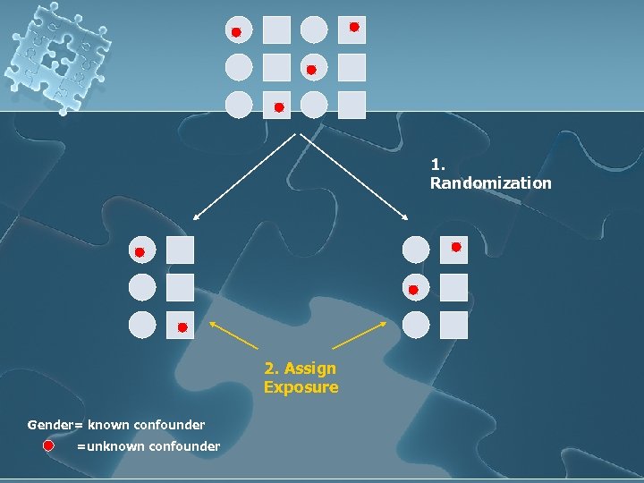 1. Randomization 2. Assign Exposure Gender= known confounder =unknown confounder 