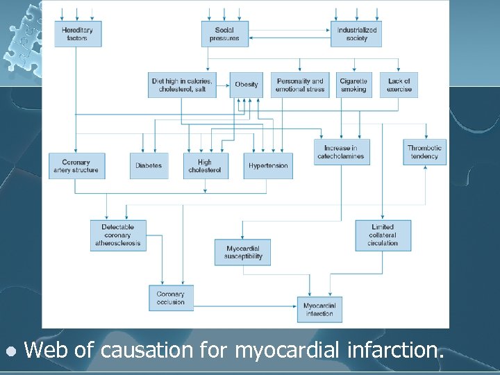 l Web of causation for myocardial infarction. 