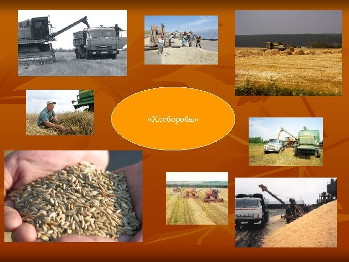  «Хлеборобы» 