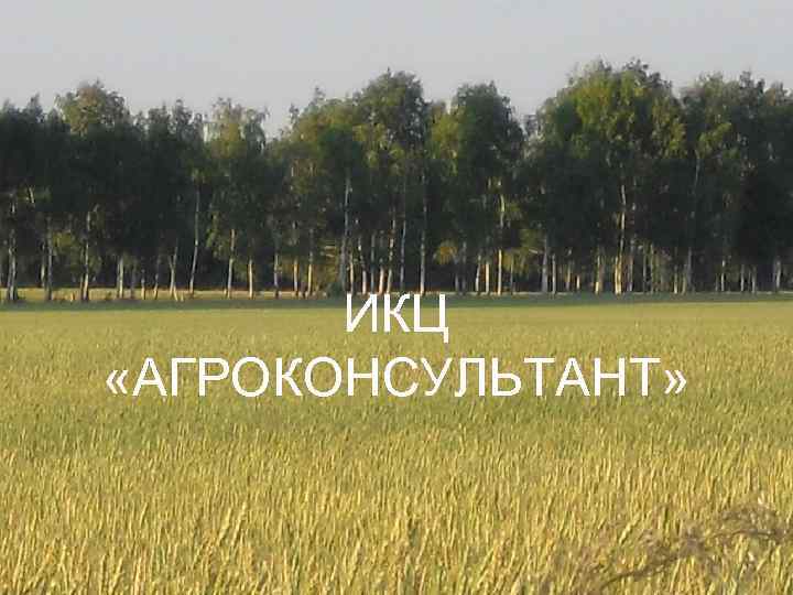 ИКЦ «АГРОКОНСУЛЬТАНТ» 