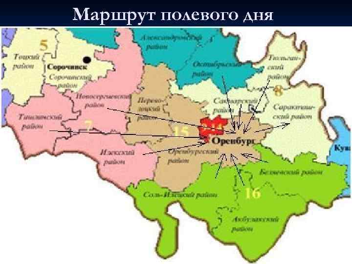 Маршрут полевого дня 