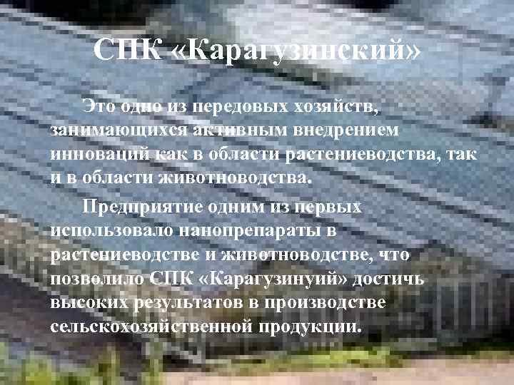 СПК «Карагузинский» Это одно из передовых хозяйств, занимающихся активным внедрением инноваций как в области