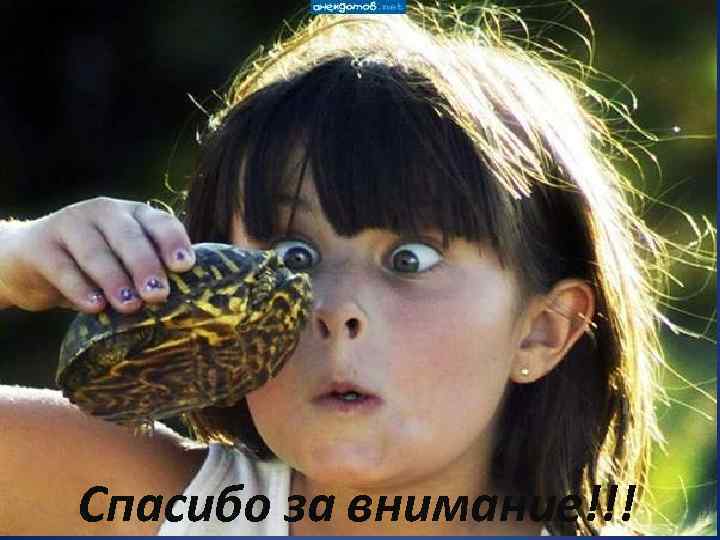 Спасибо за внимание!!! Благодарю за внимание!!! 