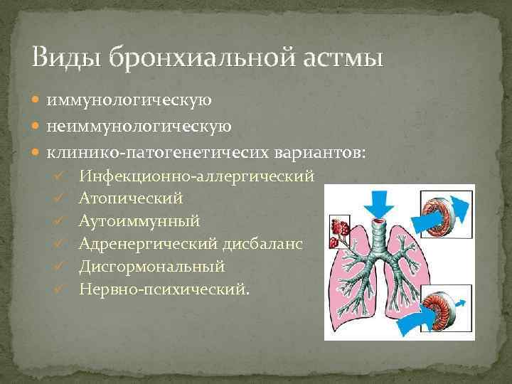 Виды бронхиальной астмы иммунологическую неиммунологическую клинико-патогенетичесих вариантов: ü Инфекционно-аллергический ü Атопический ü Аутоиммунный ü