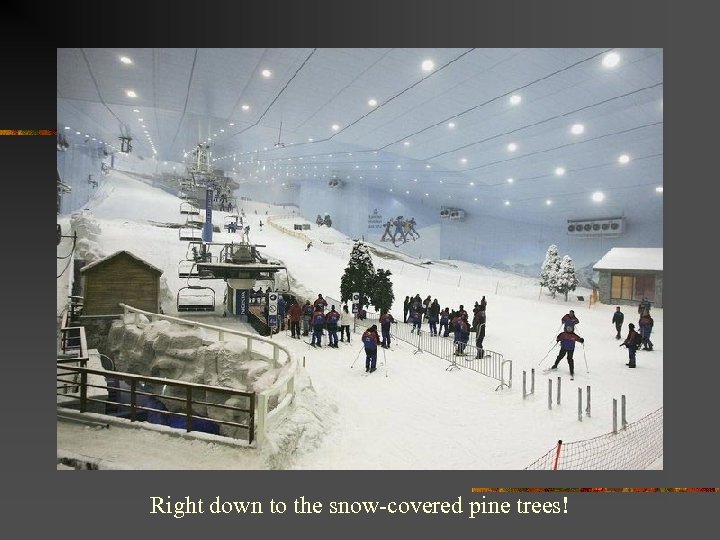 Right down to the snow-covered pine trees! 