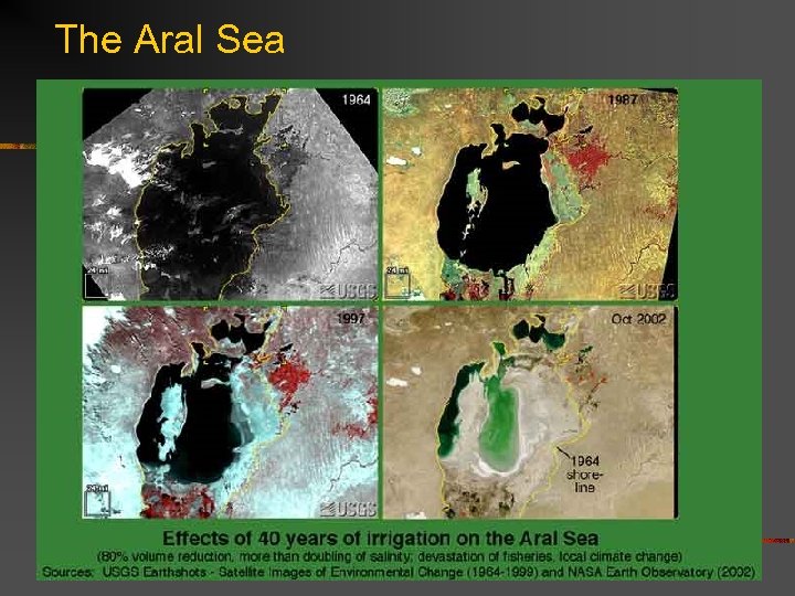 The Aral Sea 