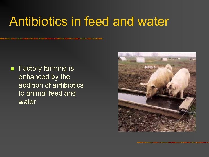 Antibiotics in feed and water n Factory farming is enhanced by the addition of