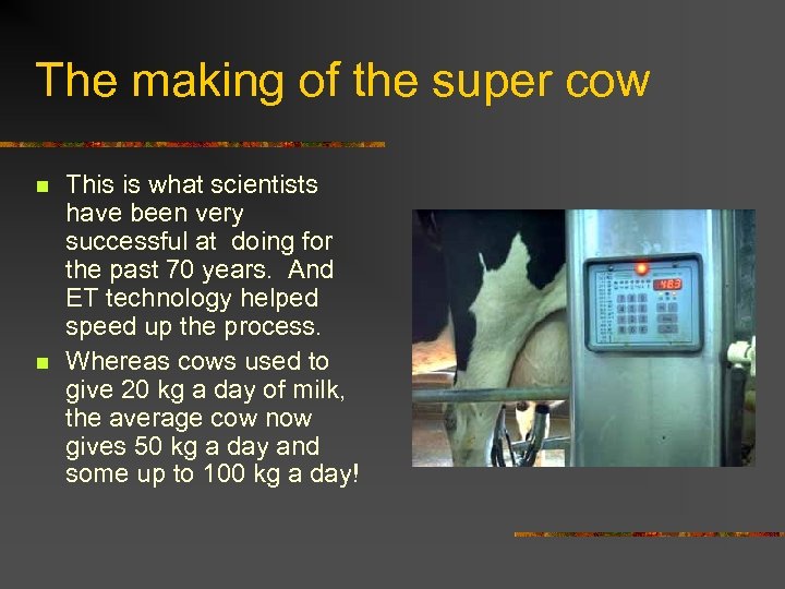 The making of the super cow n n This is what scientists have been