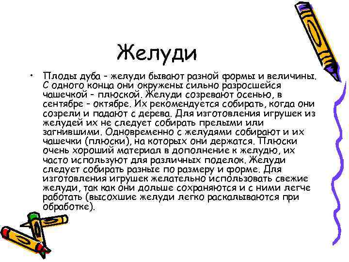 Желуди • Плоды дуба - желуди бывают разной формы и величины. С одного конца