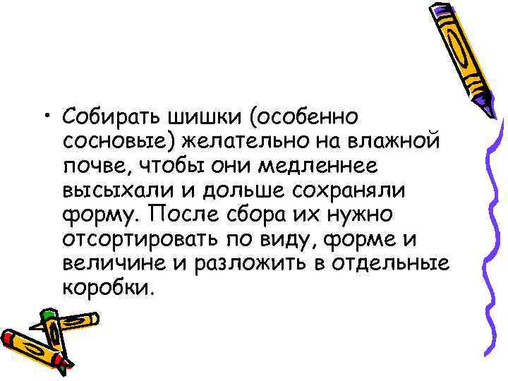  • Собирать шишки (особенно сосновые) желательно на влажной почве, чтобы они медленнее высыхали