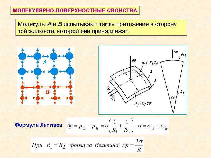 МОЛЕКУЛЯРНО-ПОВЕРХНОСТНЫЕ СВОЙСТВА Молекулы А и В испытывают также притяжение в сторону той жидкости, которой