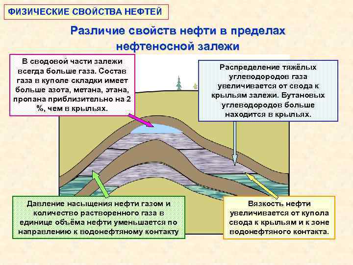 ФИЗИЧЕСКИЕ СВОЙСТВА НЕФТЕЙ Различие свойств нефти в пределах нефтеносной залежи В сводовой части залежи