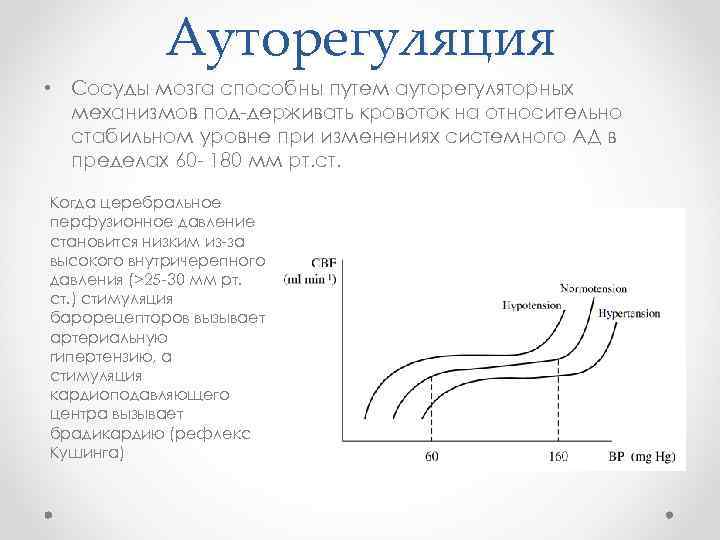 Ауторегуляция • Сосуды мозга способны путем ауторегуляторных механизмов под держивать кровоток на относительно стабильном