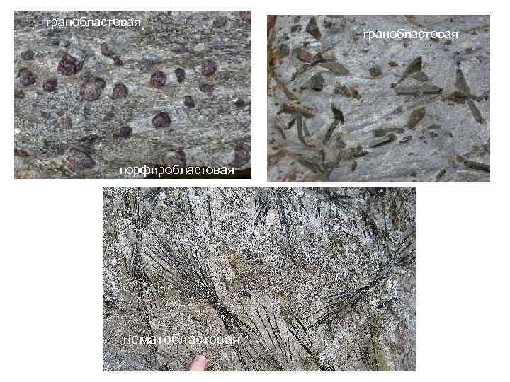 гранобластовая порфиробластовая нематобластовая гранобластовая 