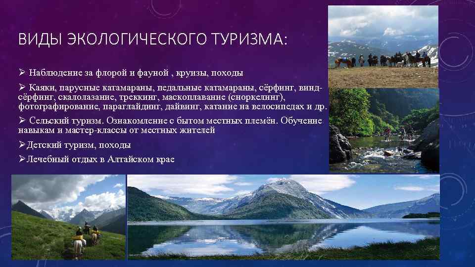ВИДЫ ЭКОЛОГИЧЕСКОГО ТУРИЗМА: Ø Наблюдение за флорой и фауной , круизы, походы Ø Каяки,