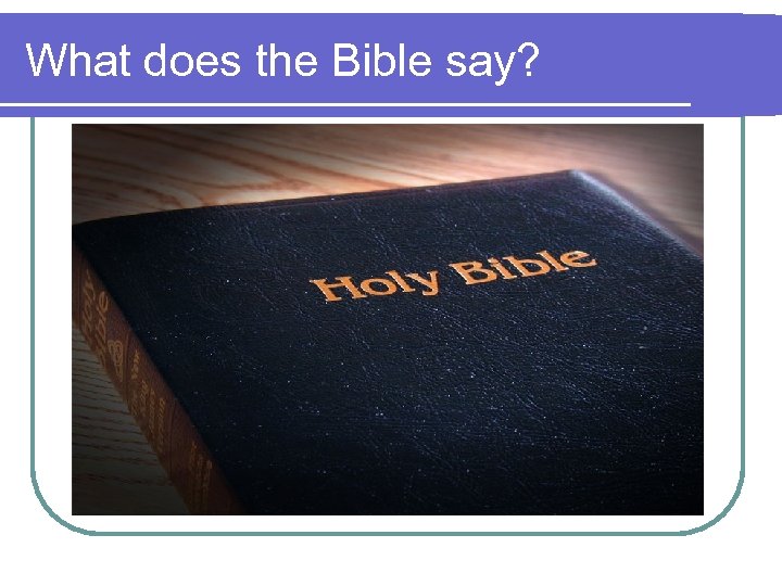 What does the Bible say? 