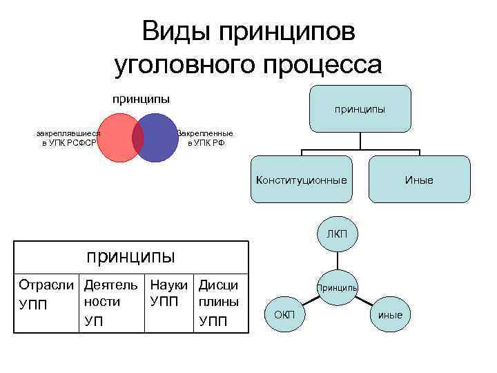 Виды принципов уголовного процесса принципы закреплявшиеся в УПК РСФСР принципы Закрепленные в УПК РФ