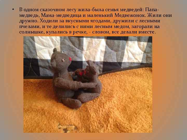  • В одном сказочном лесу жила-была семья медведей: Папамедведь, Мама-медведица и маленький Медвежонок.