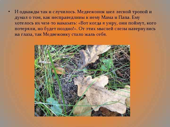  • И однажды так и случилось. Медвежонок шел лесной тропой и думал о