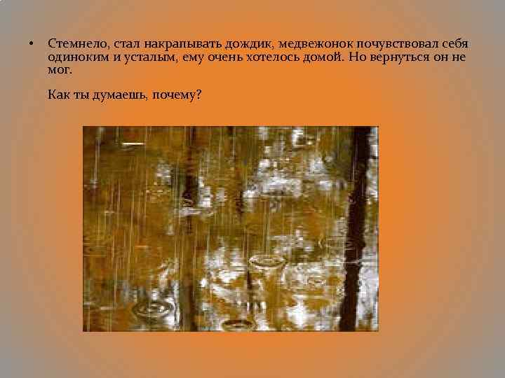  • Стемнело, стал накрапывать дождик, медвежонок почувствовал себя одиноким и усталым, ему очень