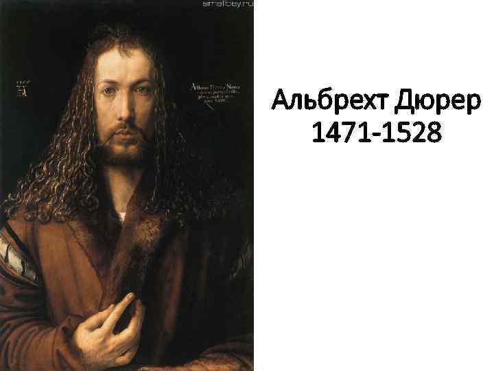 Альбрехт Дюрер 1471 -1528 