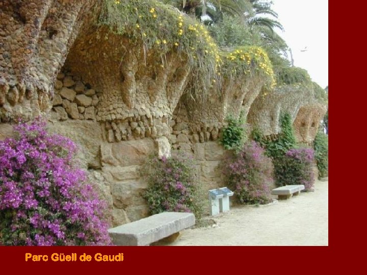 Parc Güell de Gaudi 
