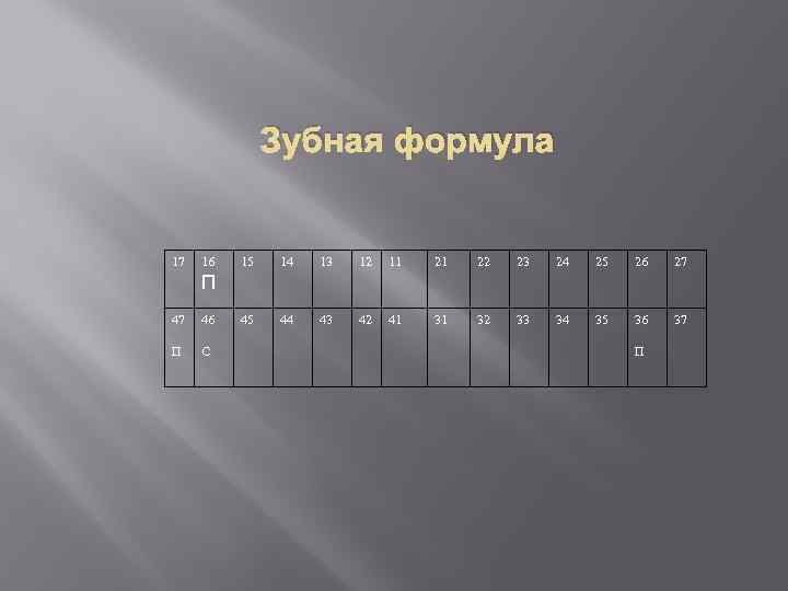 Зубная формула 17 16 15 14 13 12 11 21 22 23 24 25