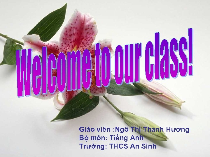 Giáo viên : Ngô Thị Thanh Hương Bộ môn: Tiếng Anh Trường: THCS An