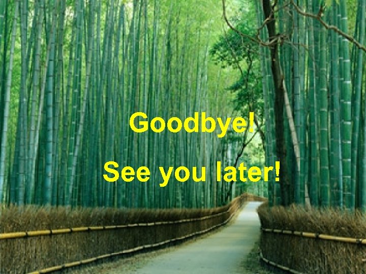 Goodbye! See you later! 