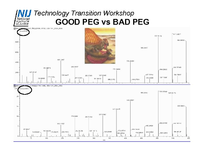 Technology Transition Workshop GOOD PEG vs BAD PEG 
