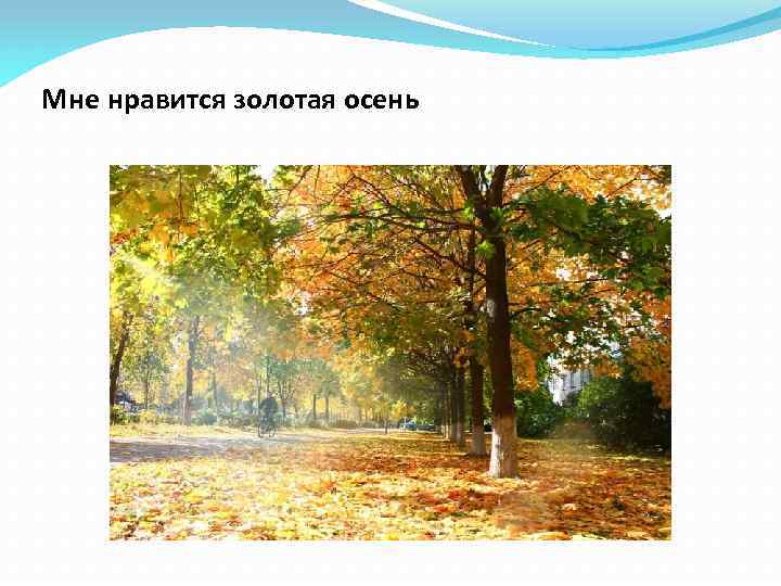 Мне нравится золотая осень 
