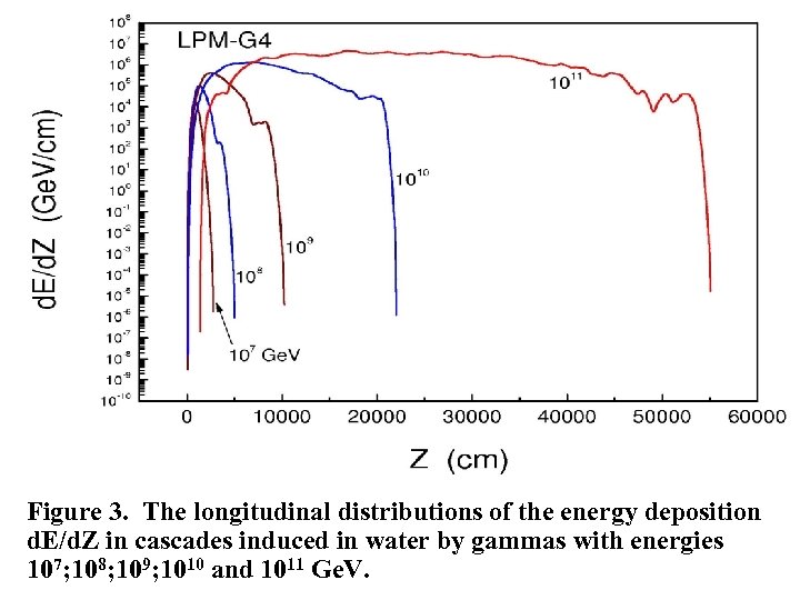 Figure 3. The longitudinal distributions of the energy deposition d. E/d. Z in cascades
