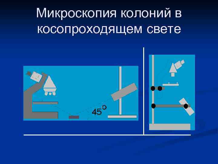 Микроскопия колоний в косопроходящем свете 
