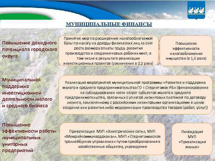 МУНИЦИПАЛЬНЫЕ ФИНАНСЫ Повышение доходного потенциала городского округа Муниципальная поддержка инвестиционной деятельности малого и среднего