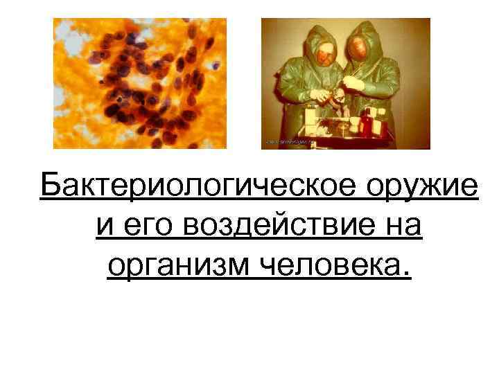 Бактериологическое оружие и его воздействие на организм человека. 