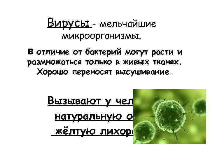 Бактериологическое оружие картинки