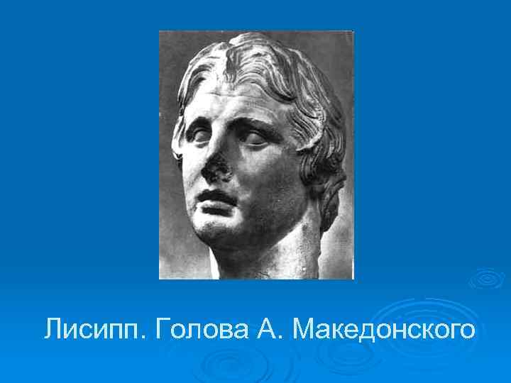 Лисипп. Голова А. Македонского 