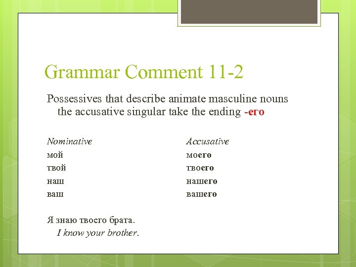 Grammar Comment 11 -2 Possessives that describe animate masculine nouns the accusative singular take