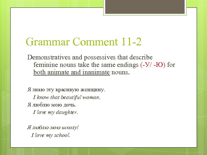 Grammar Comment 11 -2 Demonstratives and possessives that describe feminine nouns take the same
