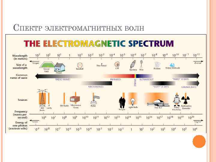 СПЕКТР ЭЛЕКТРОМАГНИТНЫХ ВОЛН 