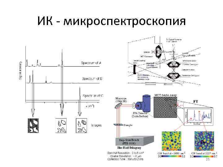 ИК - микроспектроскопия 25 