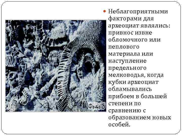  Неблагоприятными факторами для археоциат являлись: привнос извне обломочного или пеплового материала или наступление
