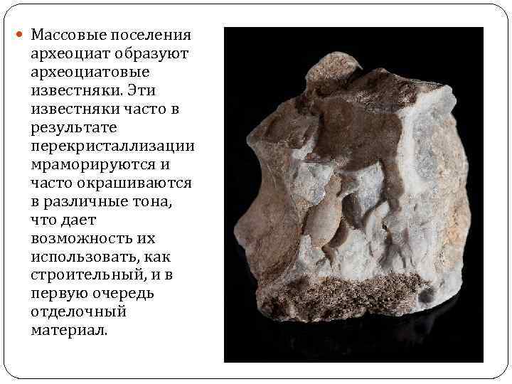  Массовые поселения археоциат образуют археоциатовые известняки. Эти известняки часто в результате перекристаллизации мраморируются