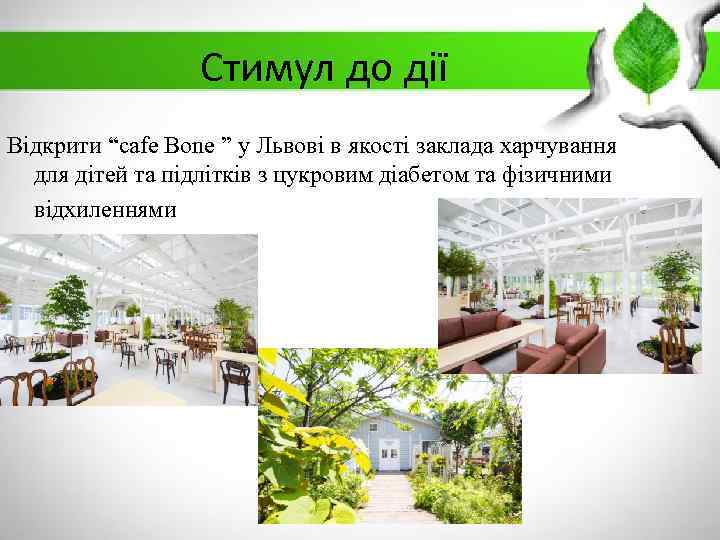 Стимул до дії Відкрити “cafe Bone ” у Львові в якості заклада харчування для