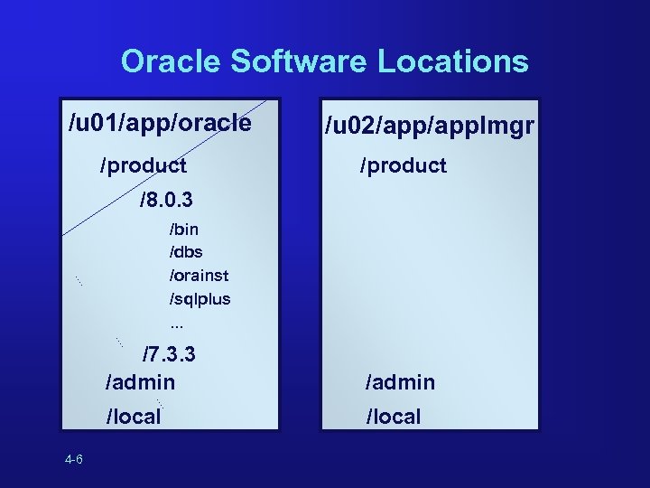 Oracle Software Locations /u 01/app/oracle /product /u 02/applmgr /product /8. 0. 3 /bin /dbs