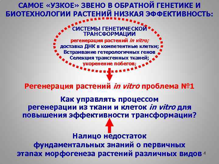 САМОЕ «УЗКОЕ» ЗВЕНО В ОБРАТНОЙ ГЕНЕТИКЕ И БИОТЕХНОЛОГИИ РАСТЕНИЙ НИЗКАЯ ЭФФЕКТИВНОСТЬ: СИСТЕМЫ ГЕНЕТИЧЕСКОЙ ТРАНСФОРМАЦИИ