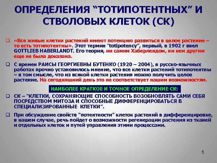 ОПРЕДЕЛЕНИЯ “ТОТИПОТЕНТНЫХ” И СТВОЛОВЫХ КЛЕТОК (СК) q «Все живые клетки растений имеют потенцию развиться